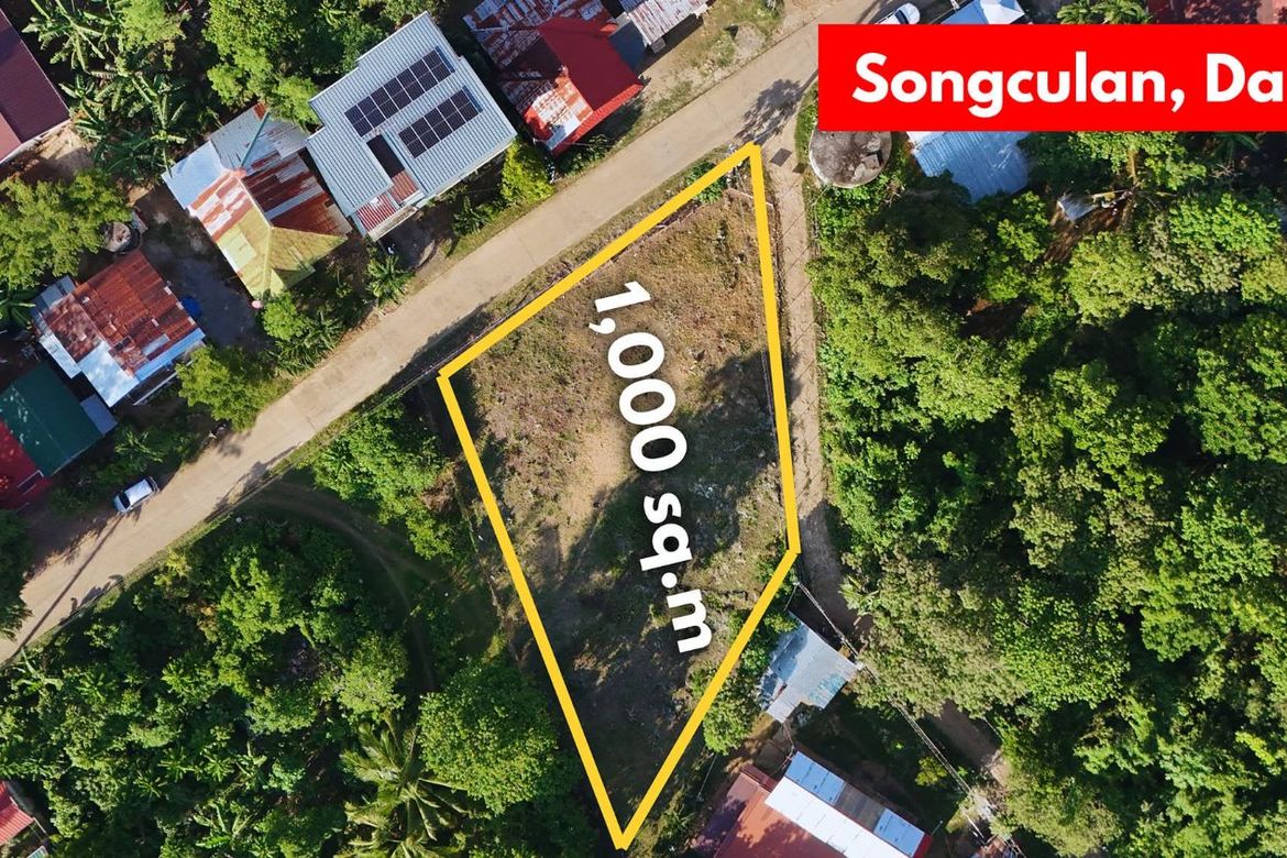 Land for Sale in Songculan, Dauis, Bohol – photo 7
