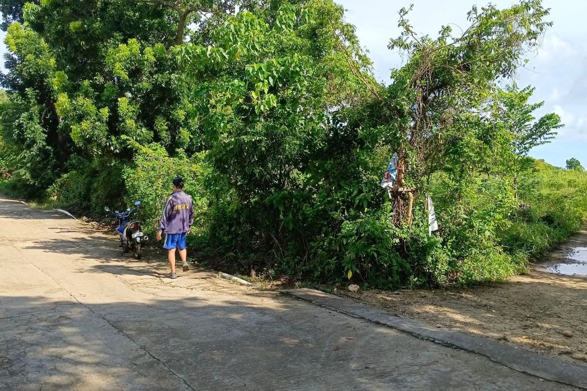 Land for Sale in Sonog, San Francisco, Cebu – photo 3