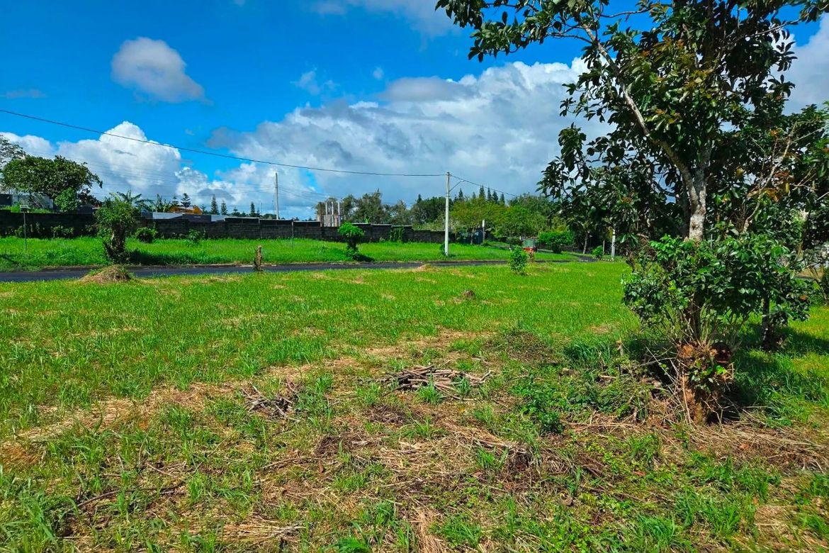 Land for Sale in South Midland, Narra II, Silang, Cavite