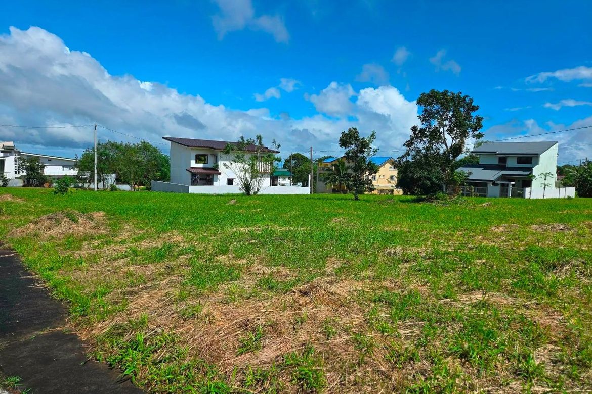 Land for Sale in South Midland, Narra II, Silang, Cavite – photo 3