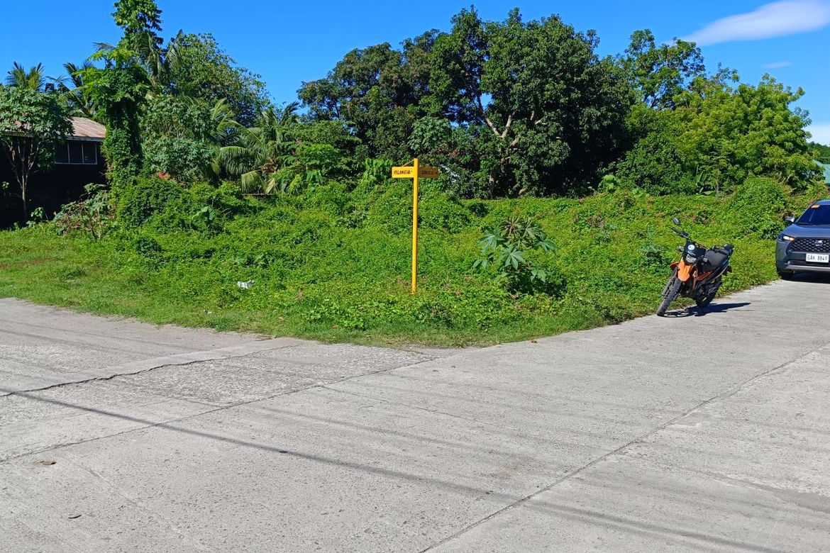 Land for Sale in South Poblacion, Bacong, Negros Oriental – photo 2