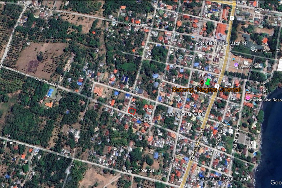 Land for Sale in South Poblacion, Bacong, Negros Oriental – photo 4