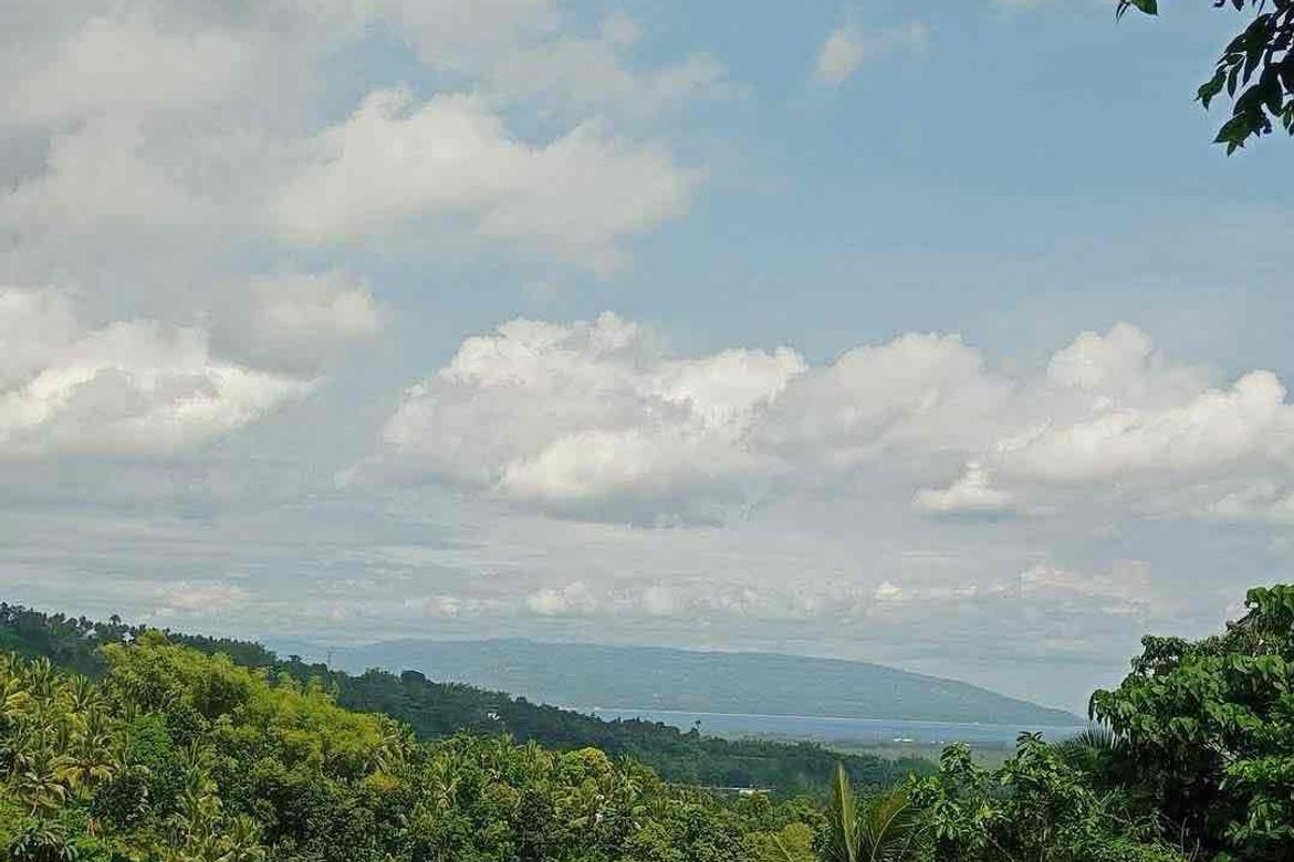 Land for Sale in South Poblacion, Valencia, Negros Oriental