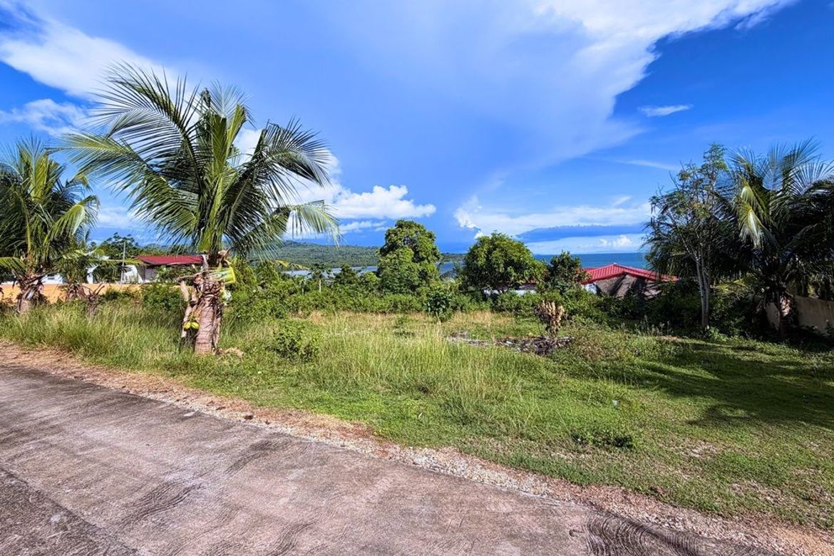 Land for Sale in Southern Poblacion, San Francisco, Cebu – photo 2