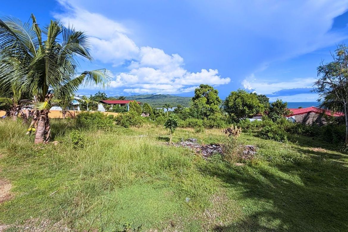Land for Sale in Southern Poblacion, San Francisco, Cebu – photo 3