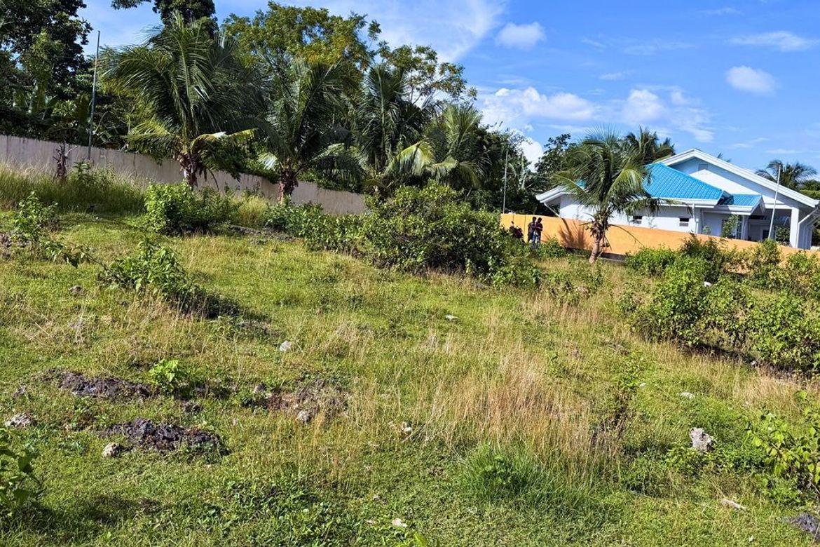 Land for Sale in Southern Poblacion, San Francisco, Cebu – photo 4