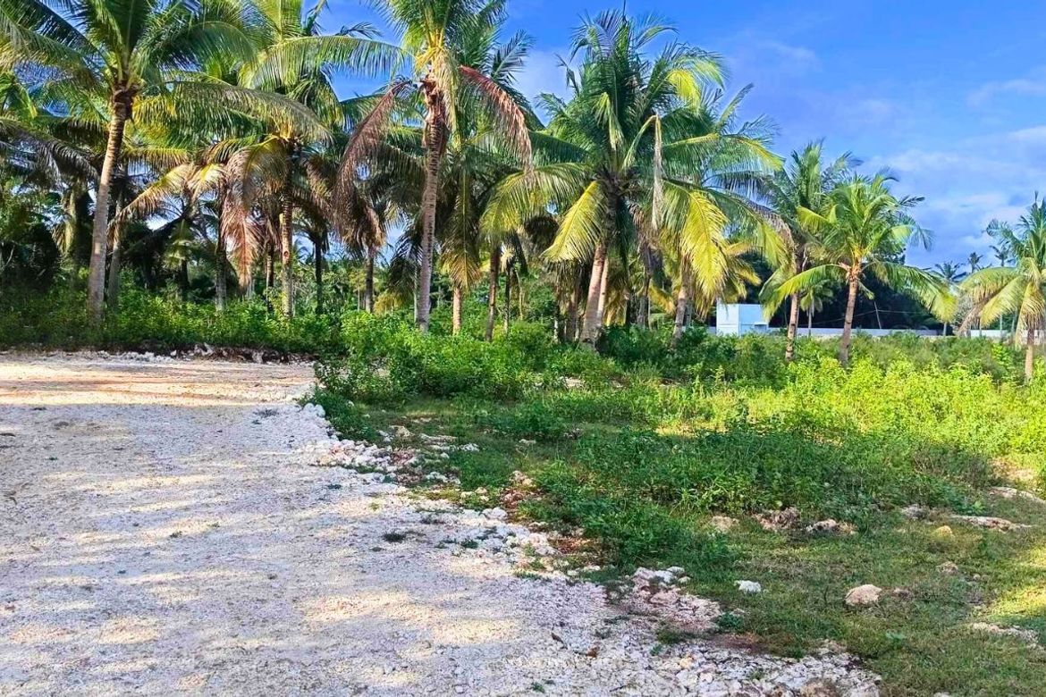 Land for Sale in Southern Poblacion, San Francisco, Cebu – photo 3