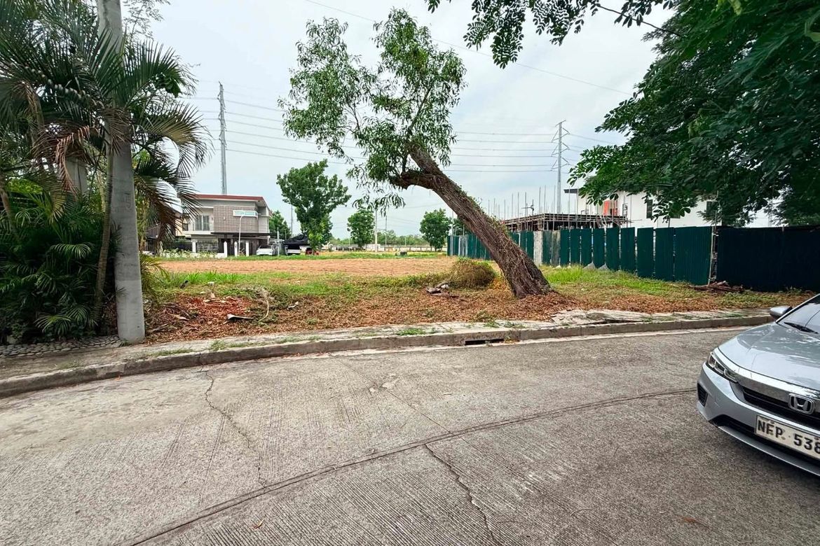 Land for Sale in Southpoint Subdivision - Cabuyao, Banaybanay, Cabuyao, Laguna – photo 3