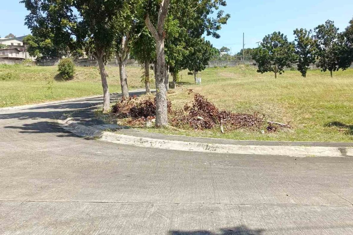 Land for Sale in Southwoods Mall, San Francisco, Biñan, Laguna – photo 3
