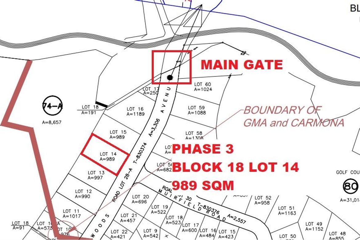 Land for Sale in Southwoods Mall, San Francisco, Biñan, Laguna