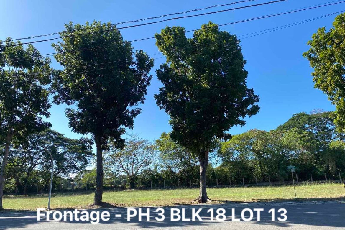 Land for Sale in Southwoods Mall, San Francisco, Biñan, Laguna – photo 3