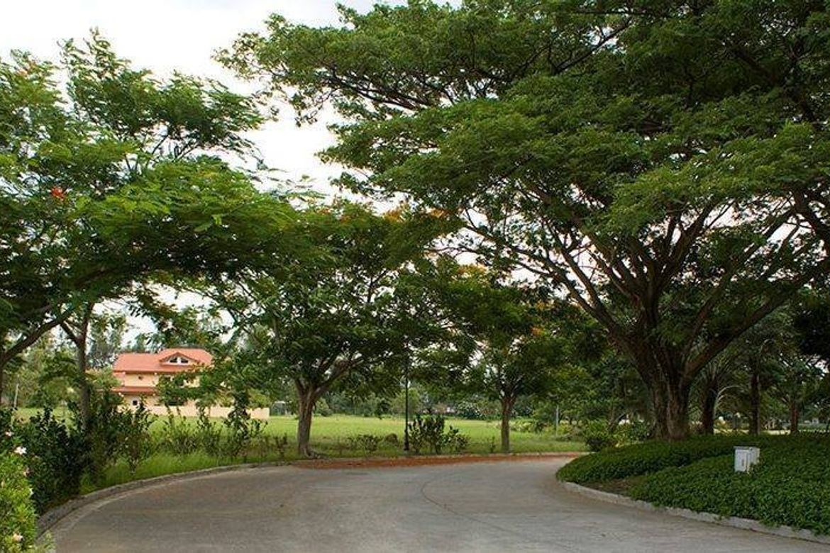 Land for Sale in Stonecrest, San Antonio, San Pedro, Laguna – photo 8