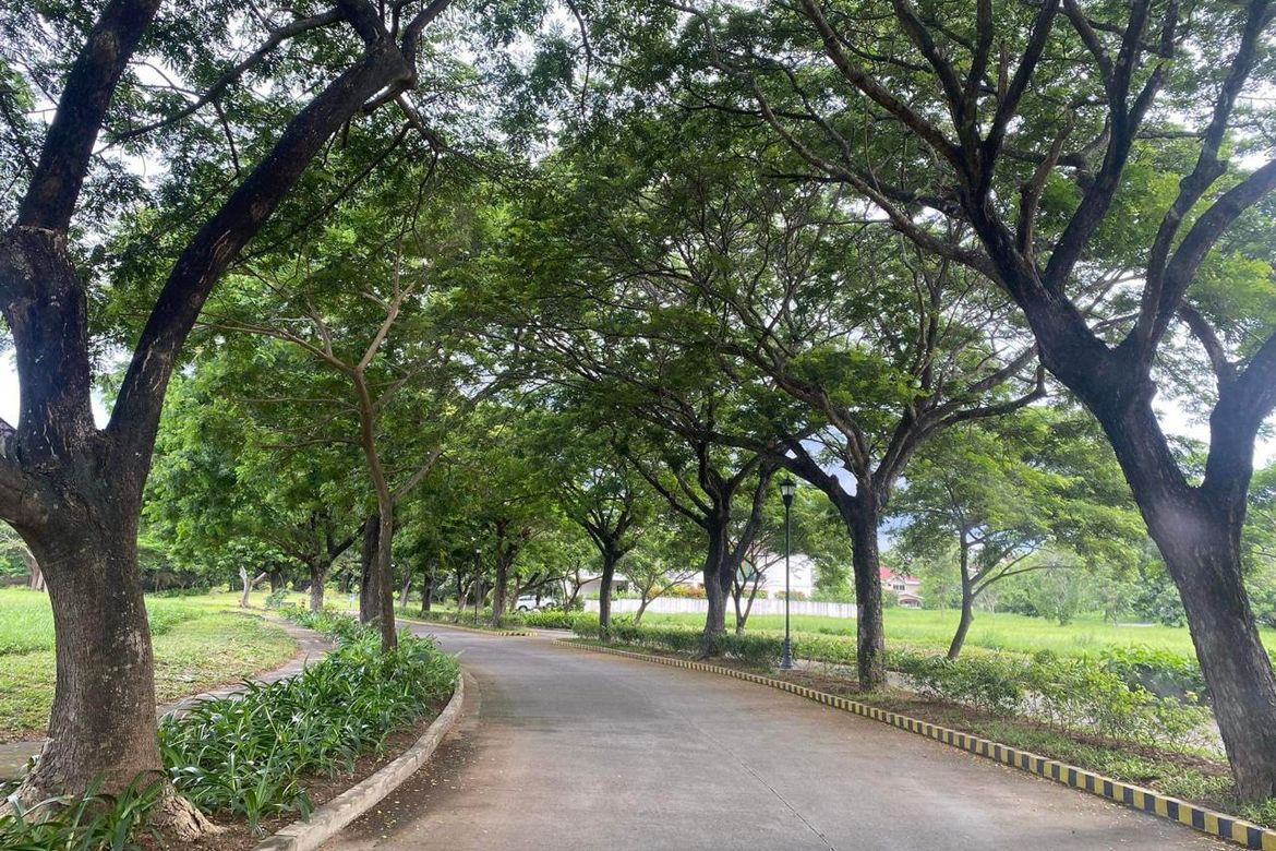Land for Sale in Stonecrest, San Antonio, San Pedro, Laguna