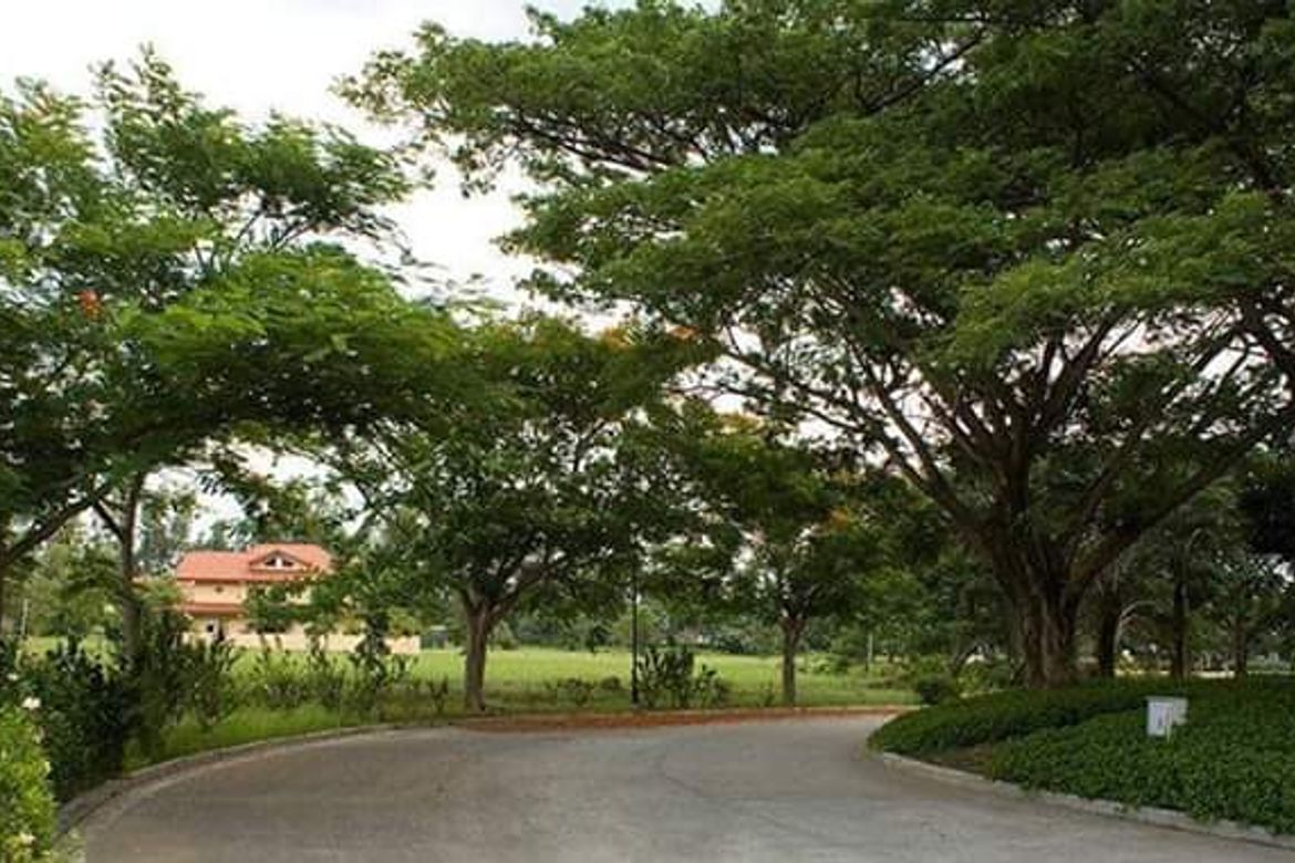 Land for Sale in Stonecrest, San Antonio, San Pedro, Laguna – photo 2
