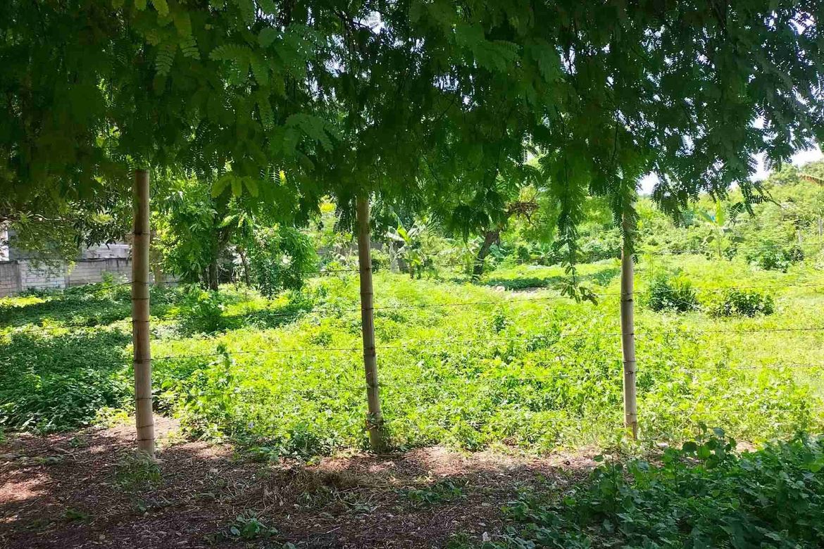 Land for Sale in Subabasbas, Lapu-Lapu, Cebu – photo 2