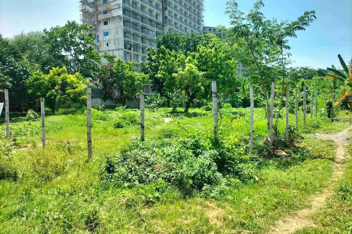 Land for Sale in Subabasbas, Lapu-Lapu, Cebu – photo 5