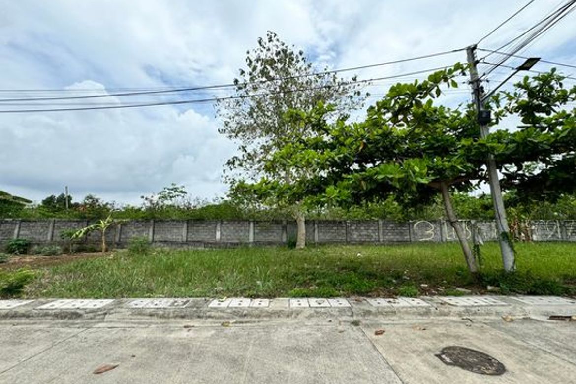 Land for Sale in Subabasbas, Lapu-Lapu, Cebu – photo 8