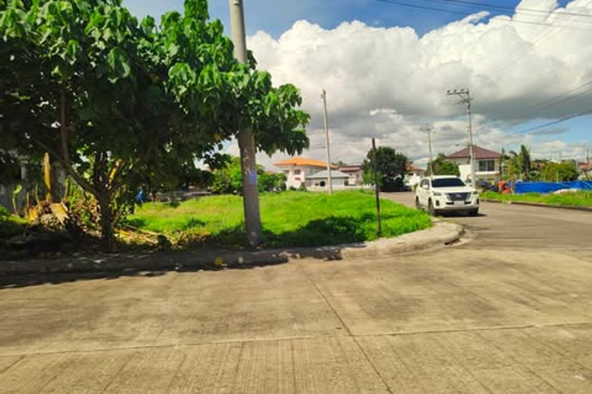Land for Sale in Subabasbas, Lapu-Lapu, Cebu – photo 2