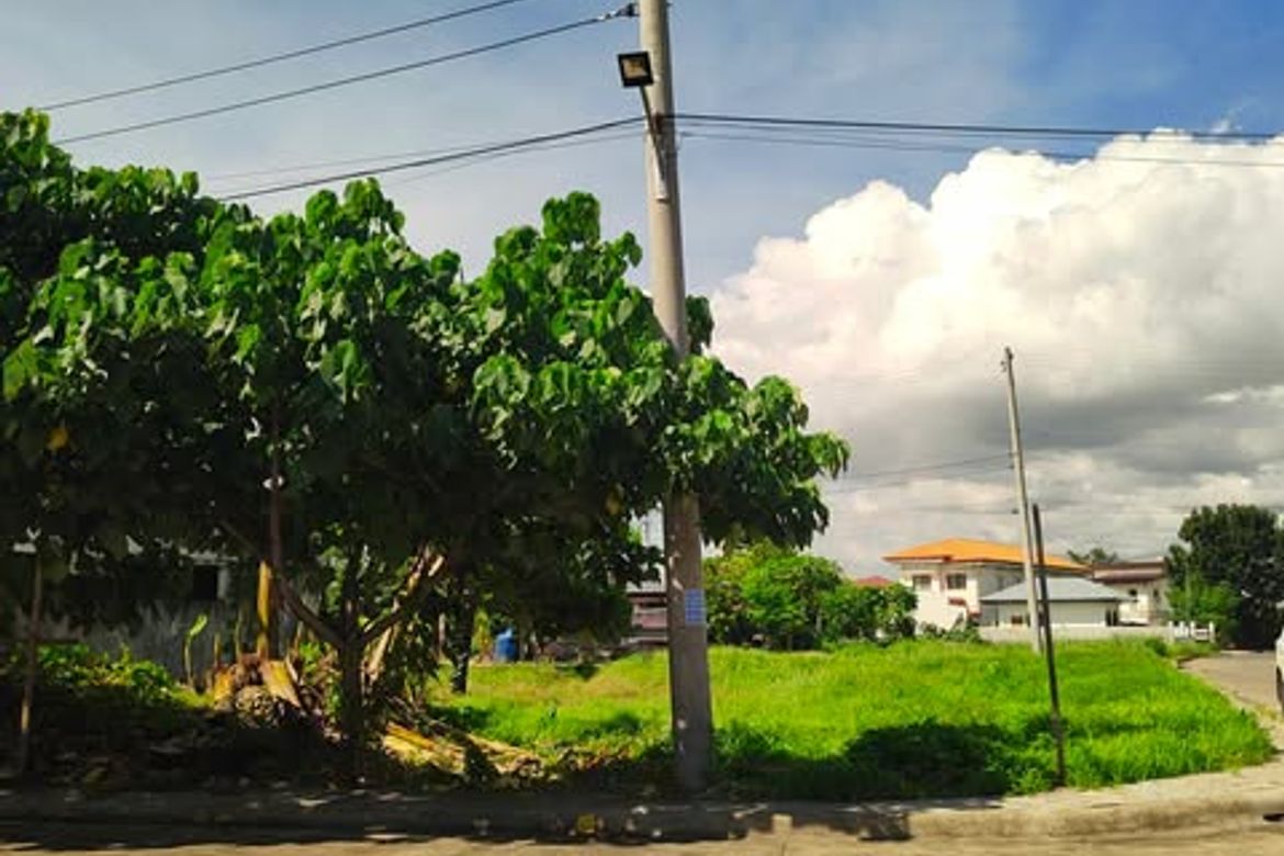Land for Sale in Subabasbas, Lapu-Lapu, Cebu – photo 3