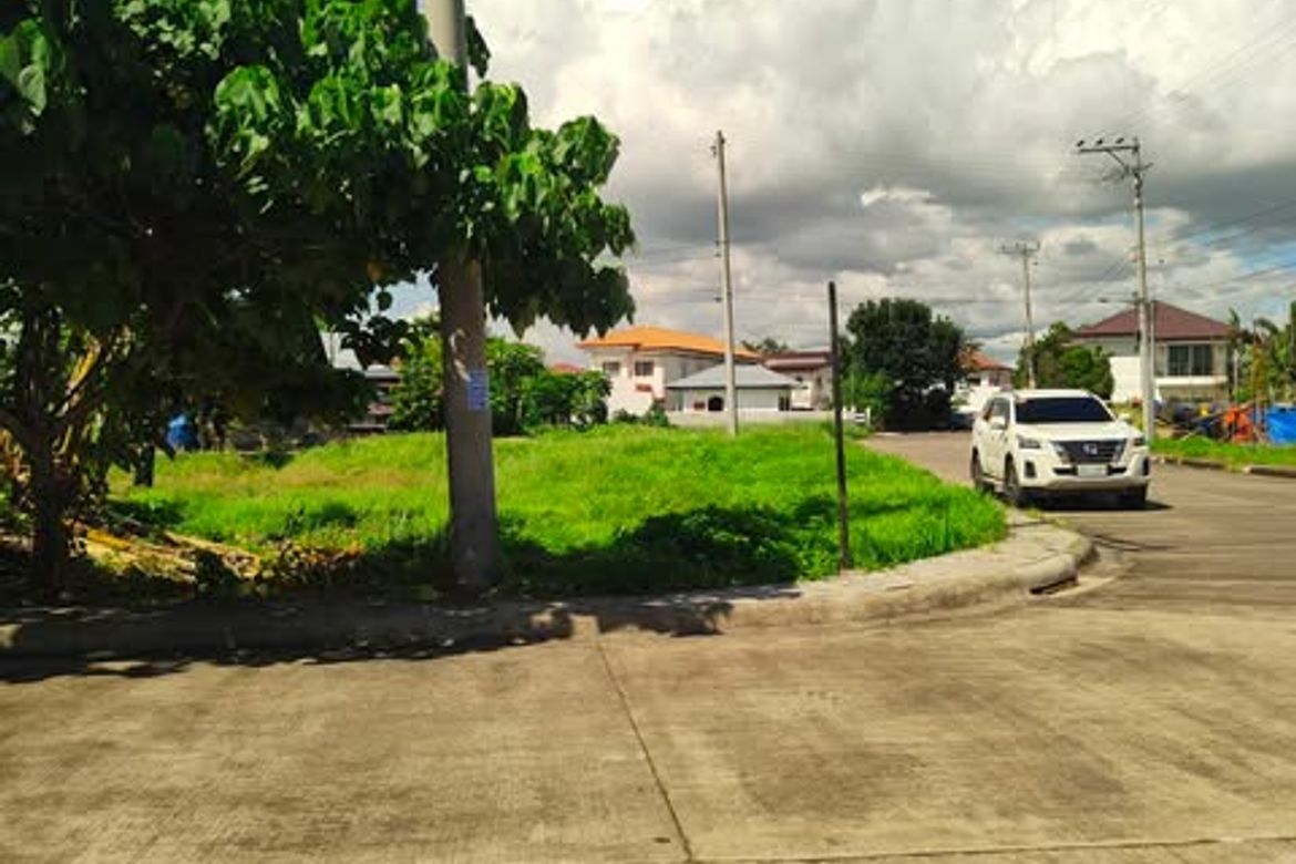 Land for Sale in Subabasbas, Lapu-Lapu, Cebu – photo 4