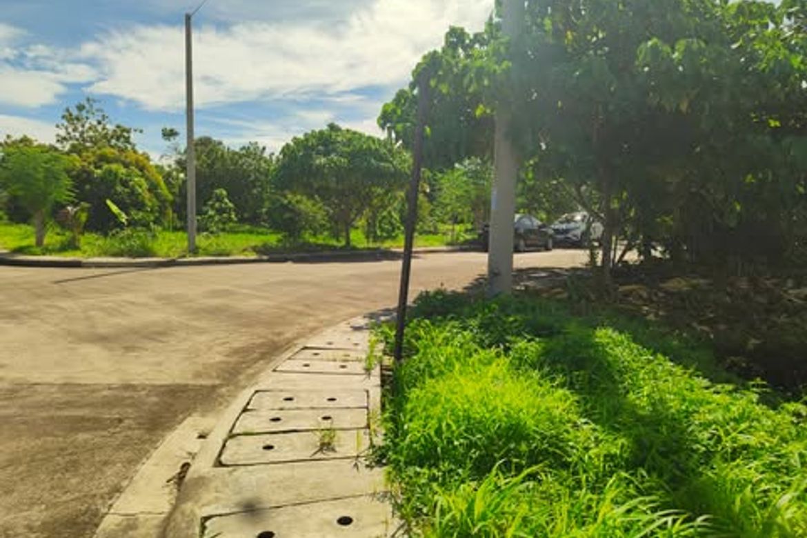 Land for Sale in Subabasbas, Lapu-Lapu, Cebu – photo 7