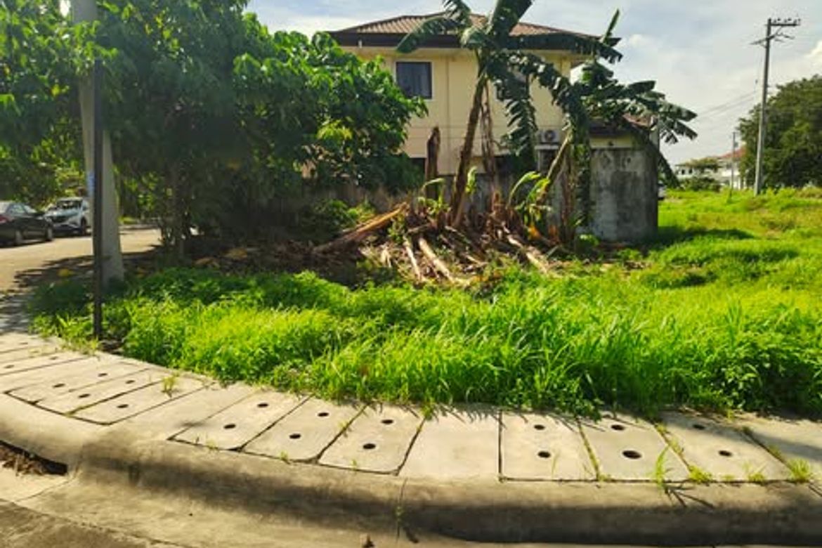 Land for Sale in Subabasbas, Lapu-Lapu, Cebu – photo 8