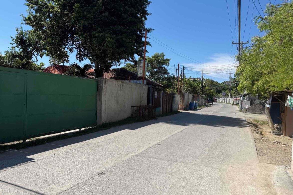 Land for Sale in Subabasbas, Lapu-Lapu, Cebu – photo 2