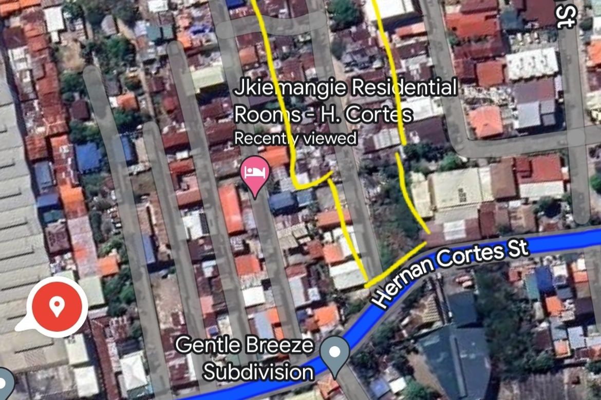Land for Sale in Subangdaku, Mandaue, Cebu – photo 3