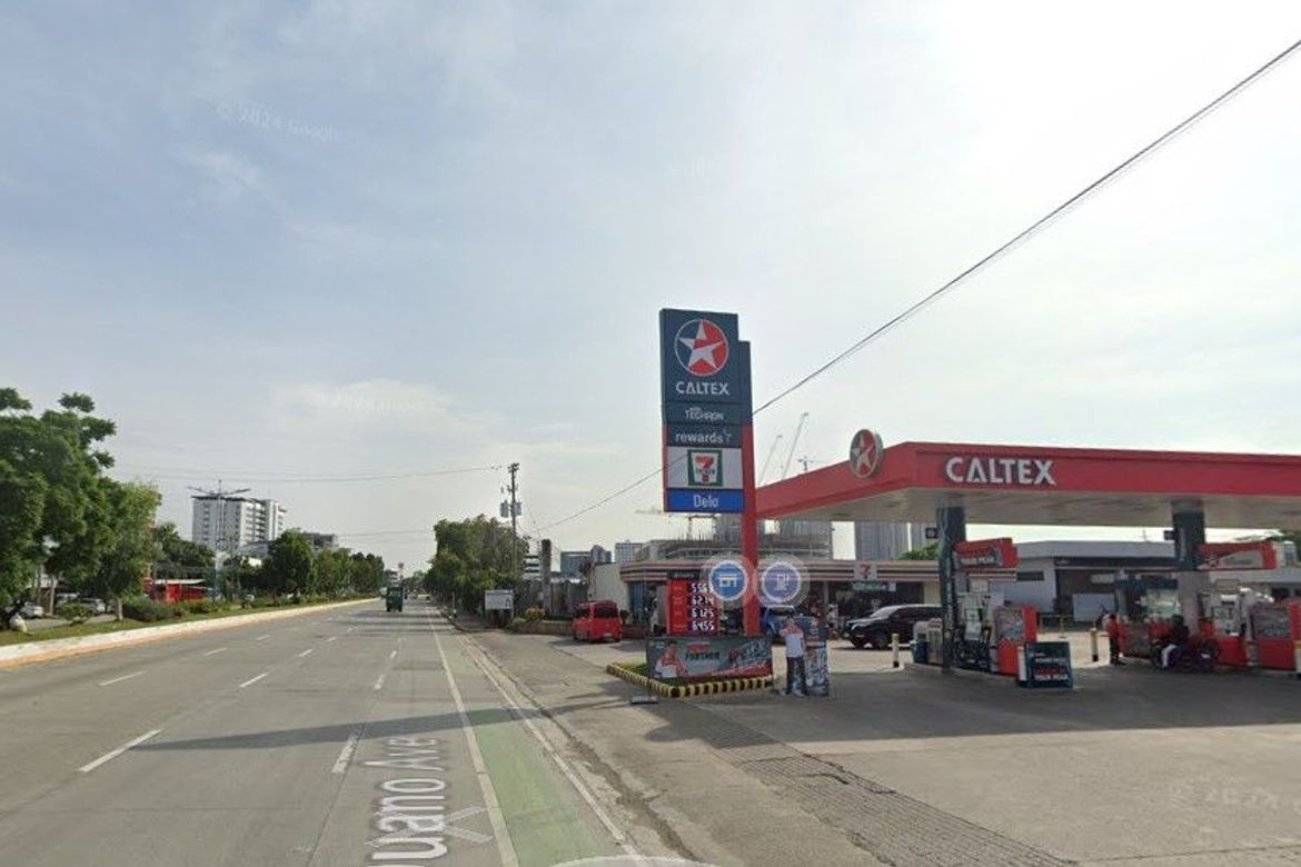 Land for Sale in Subangdaku, Mandaue, Cebu – photo 2