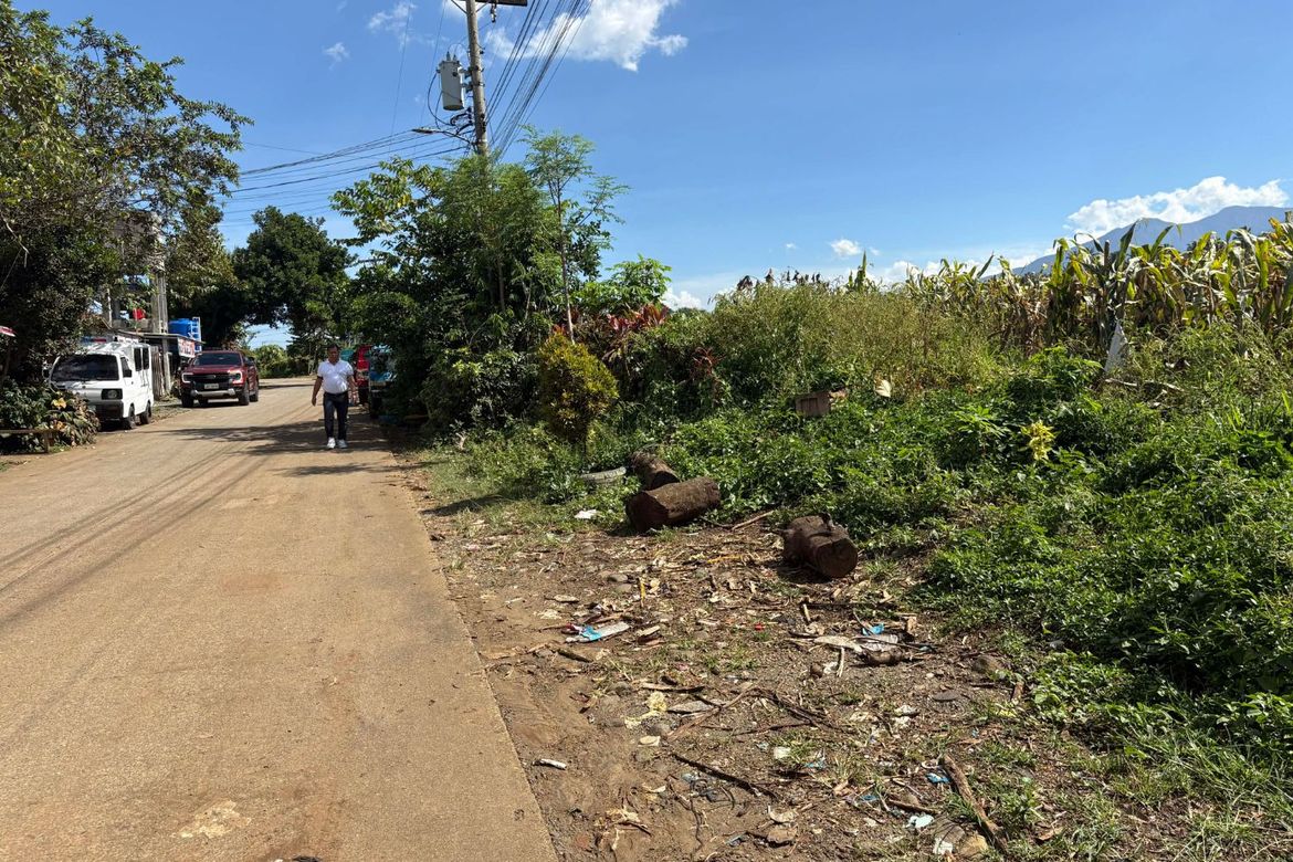 Land for Sale in Subasta, Davao City, Davao del Sur – photo 2