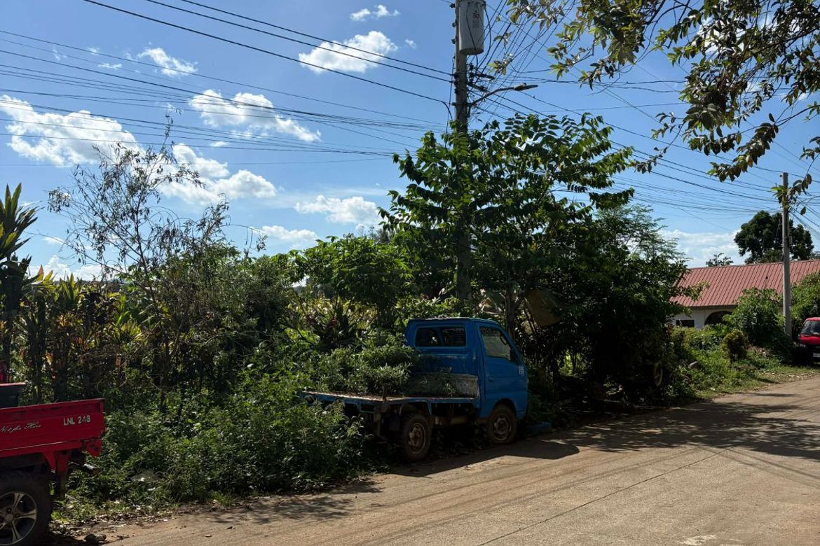 Land for Sale in Subasta, Davao City, Davao del Sur – photo 4