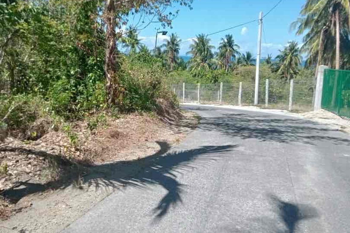 Land for Sale in Subukin, San Juan, Batangas – photo 2
