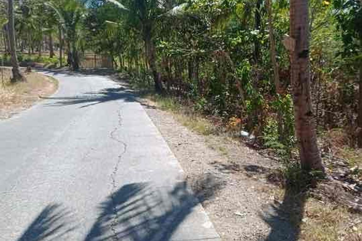 Land for Sale in Subukin, San Juan, Batangas – photo 3