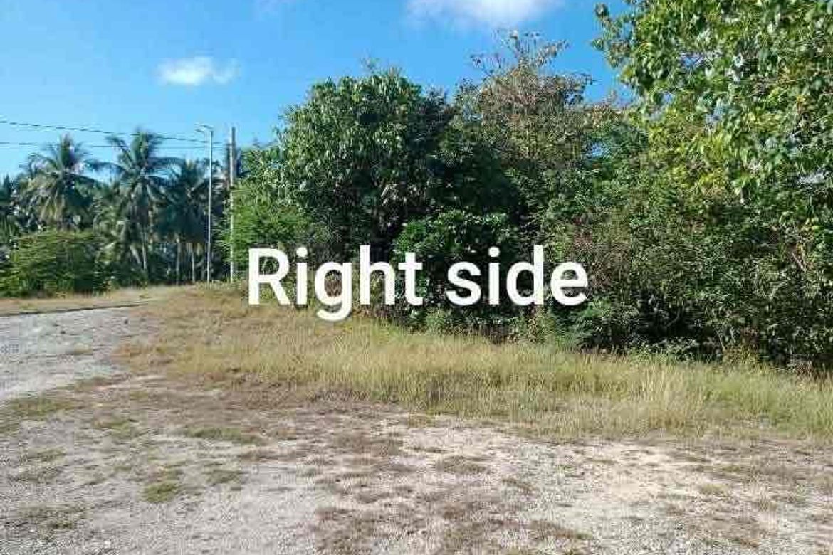 Land for Sale in Subukin, San Juan, Batangas – photo 5