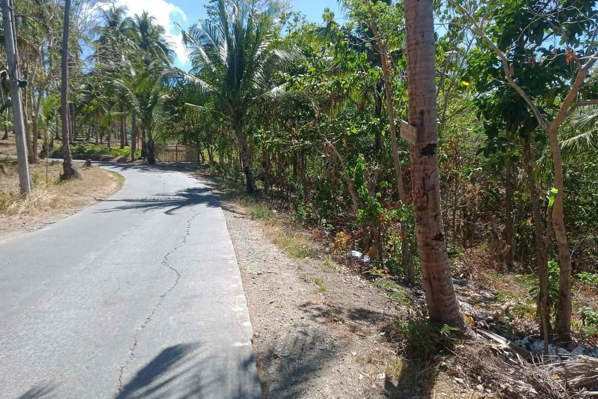 Land for Sale in Subukin, San Juan, Batangas – photo 8