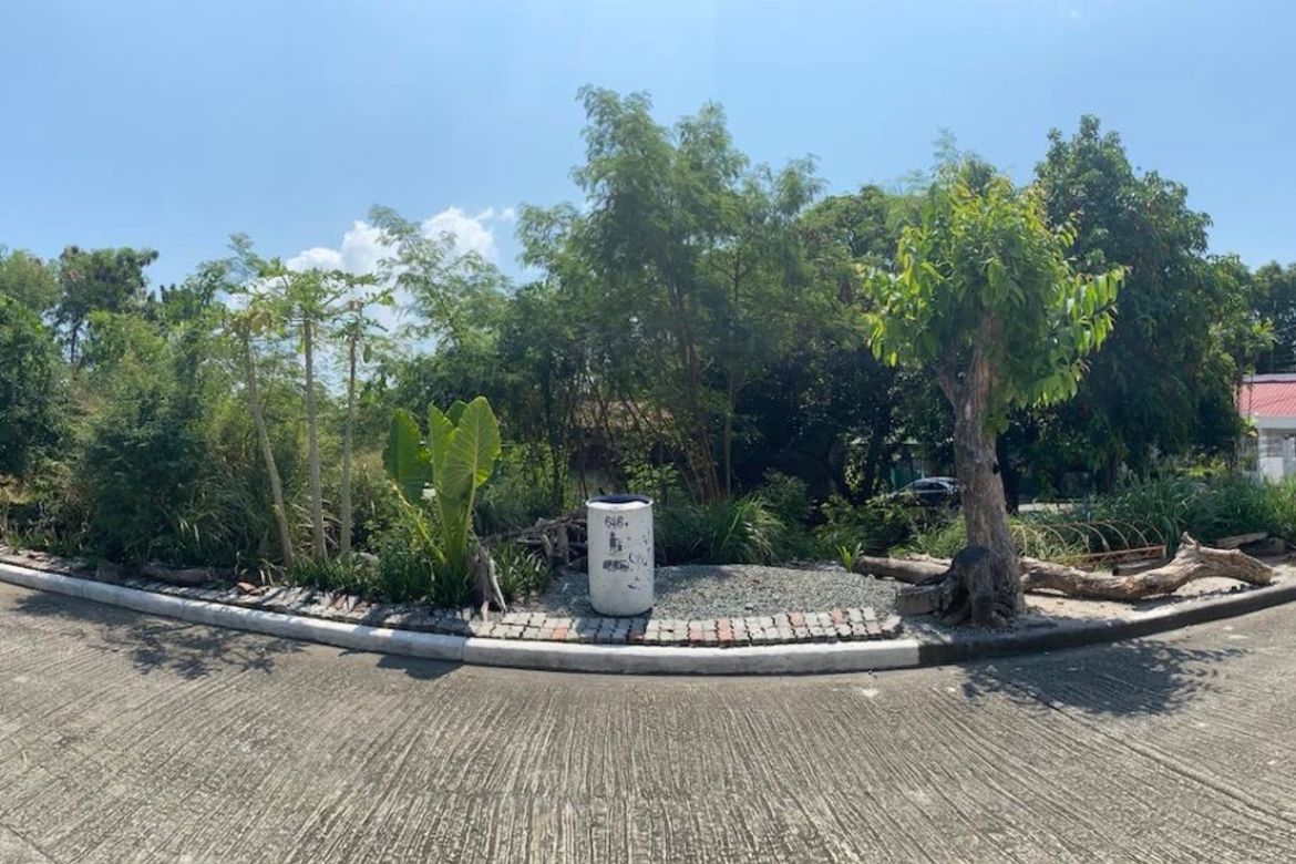 Land for Sale in Sucat, Muntinlupa, Metro Manila