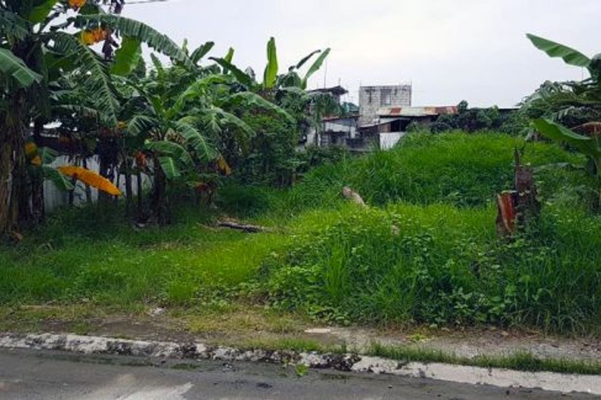 Land for Sale in Sucat, Muntinlupa, Metro Manila – photo 8