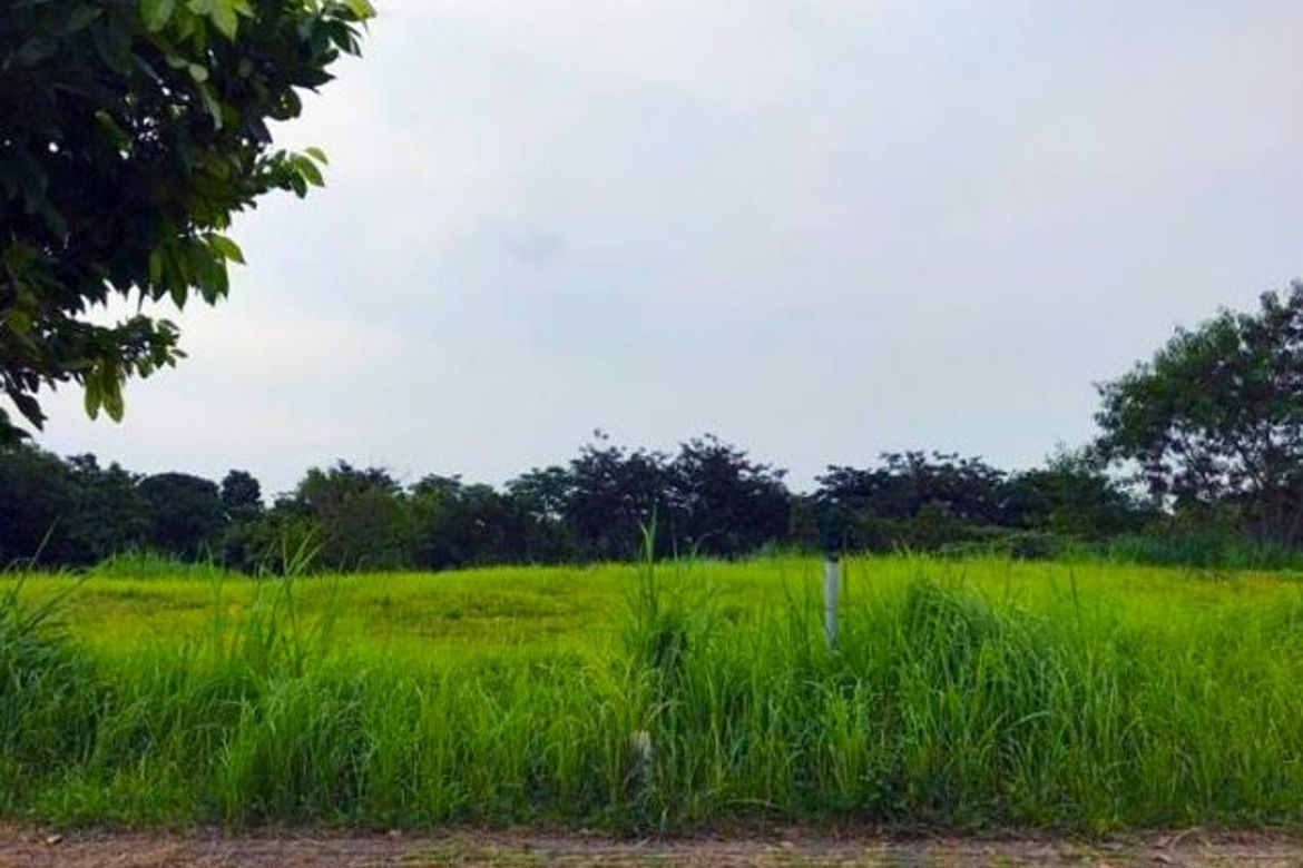 Land for Sale in Sucat, Muntinlupa, Metro Manila – photo 3