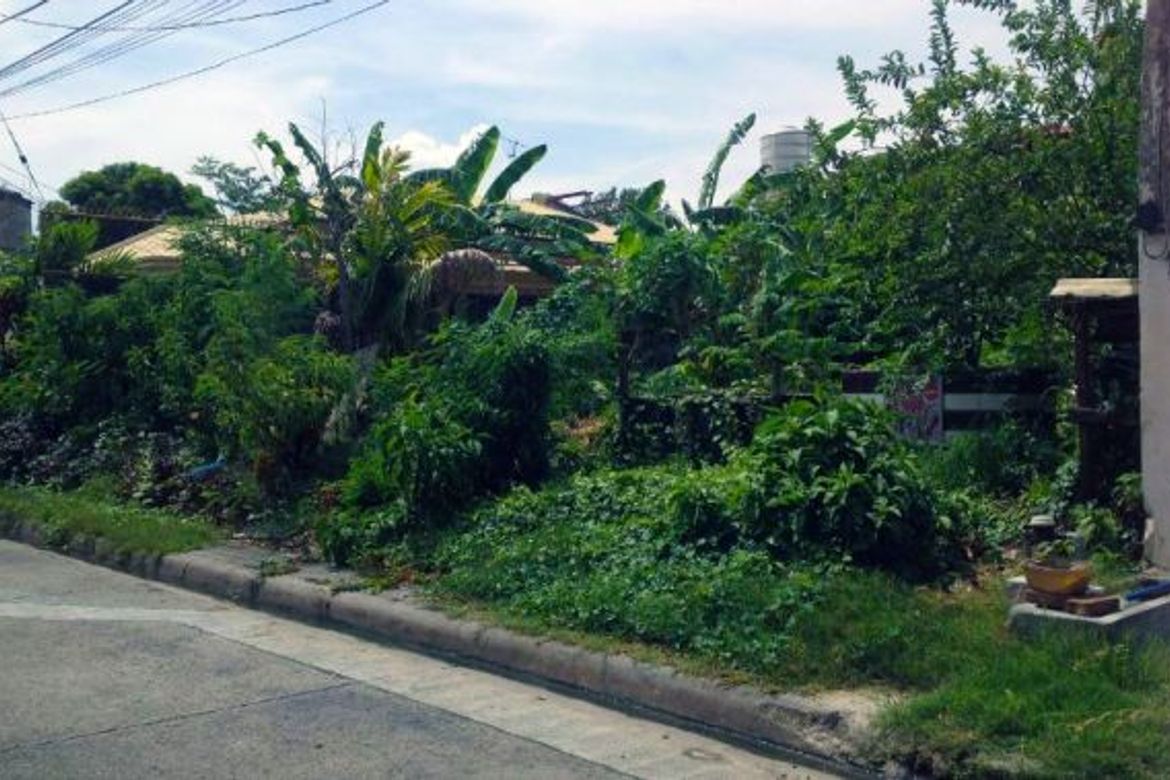 Land for Sale in Sucat, Muntinlupa, Metro Manila – photo 6