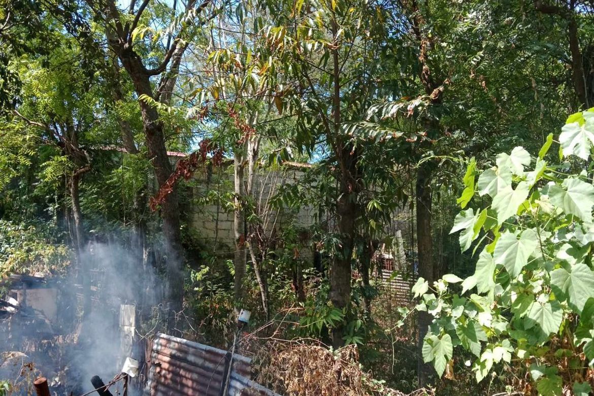 Land for Sale in Sudlon II, Cebu City, Cebu – photo 2