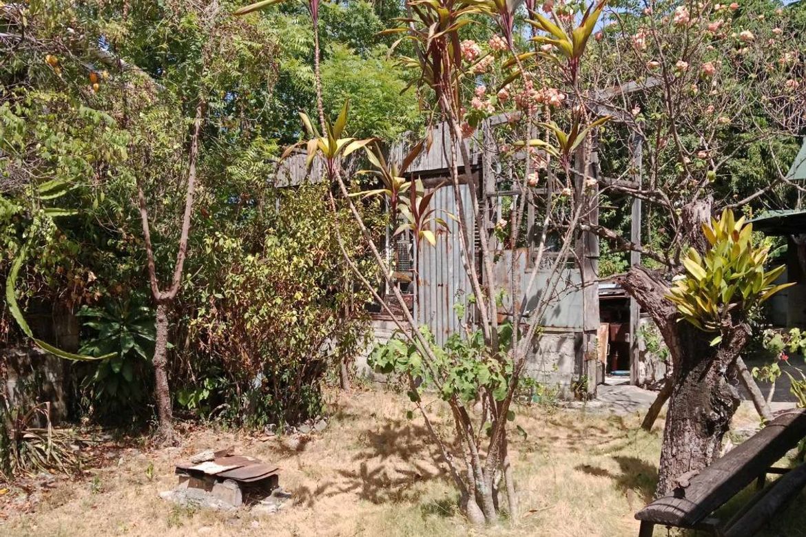 Land for Sale in Sudlon II, Cebu City, Cebu – photo 5