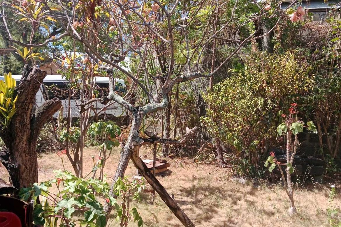 Land for Sale in Sudlon II, Cebu City, Cebu – photo 6