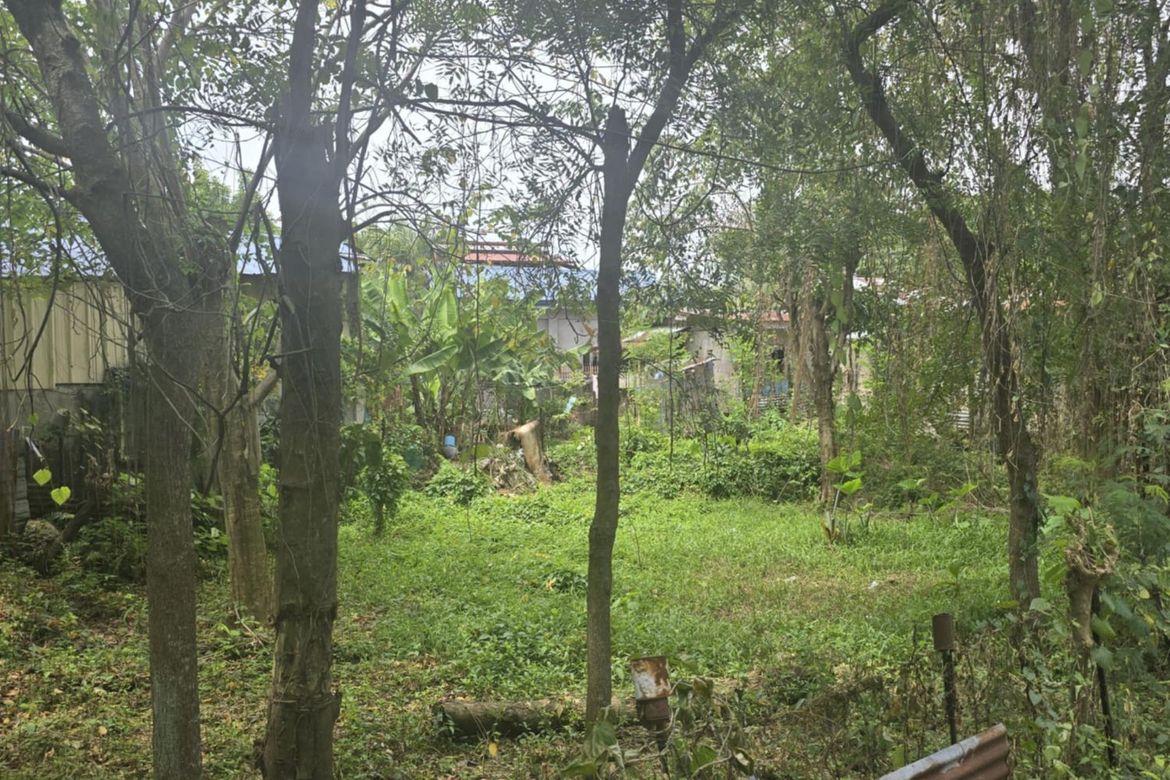 Land for Sale in Sudlon II, Cebu City, Cebu – photo 7