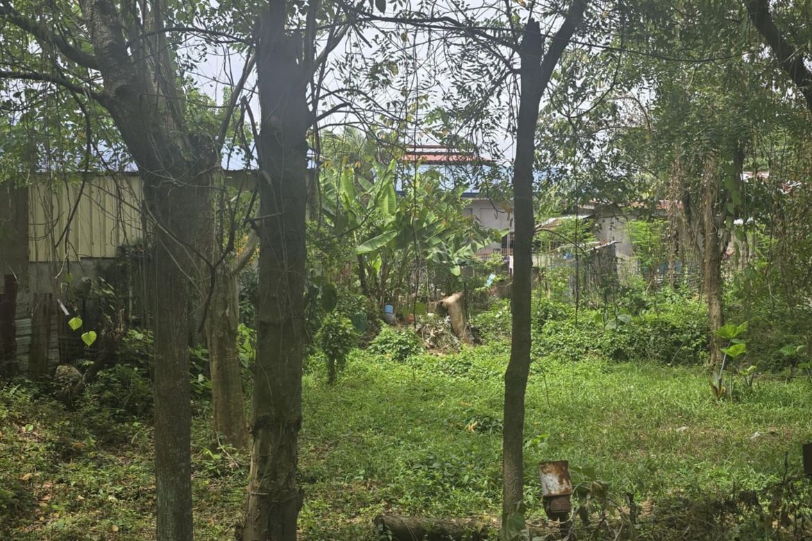 Land for Sale in Sudlon II, Cebu City, Cebu – photo 8