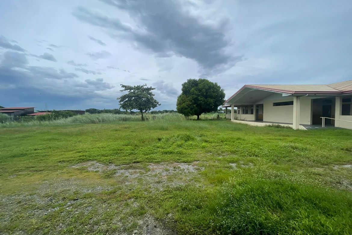 Land for Sale in Suizo, Tarlac, Tarlac – photo 5