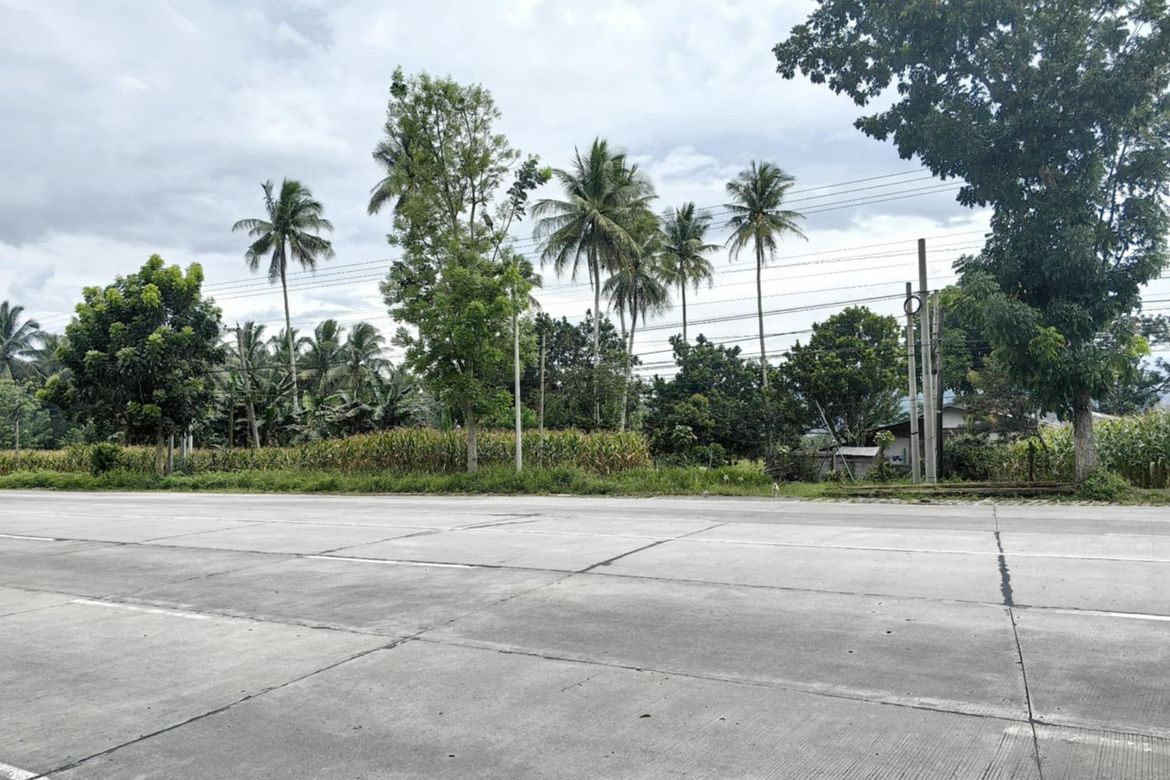 Land for Sale in Sulit, Polomolok, South Cotabato – photo 2