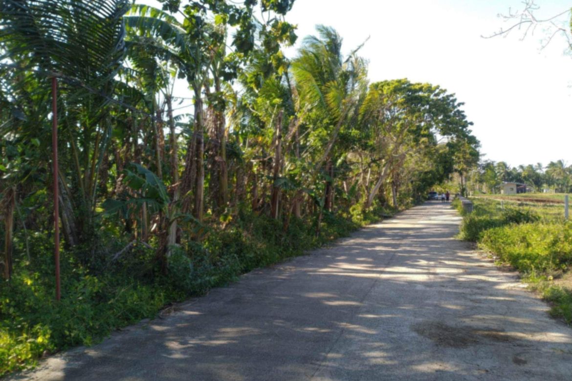 Land for Sale in Sulsugin, Alfonso, Cavite – photo 2