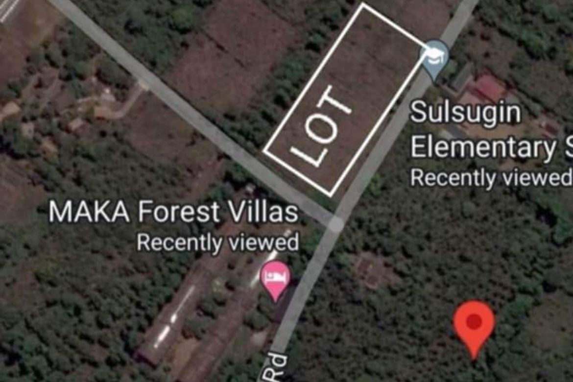 Land for Sale in Sulsugin, Alfonso, Cavite – photo 3