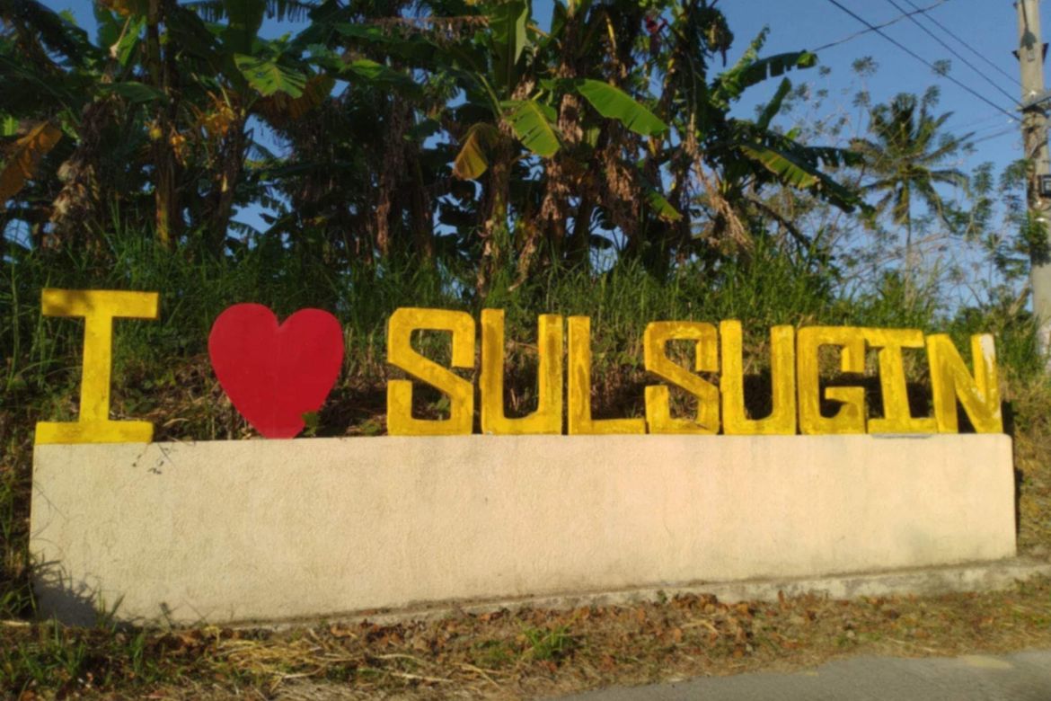 Land for Sale in Sulsugin, Alfonso, Cavite – photo 4