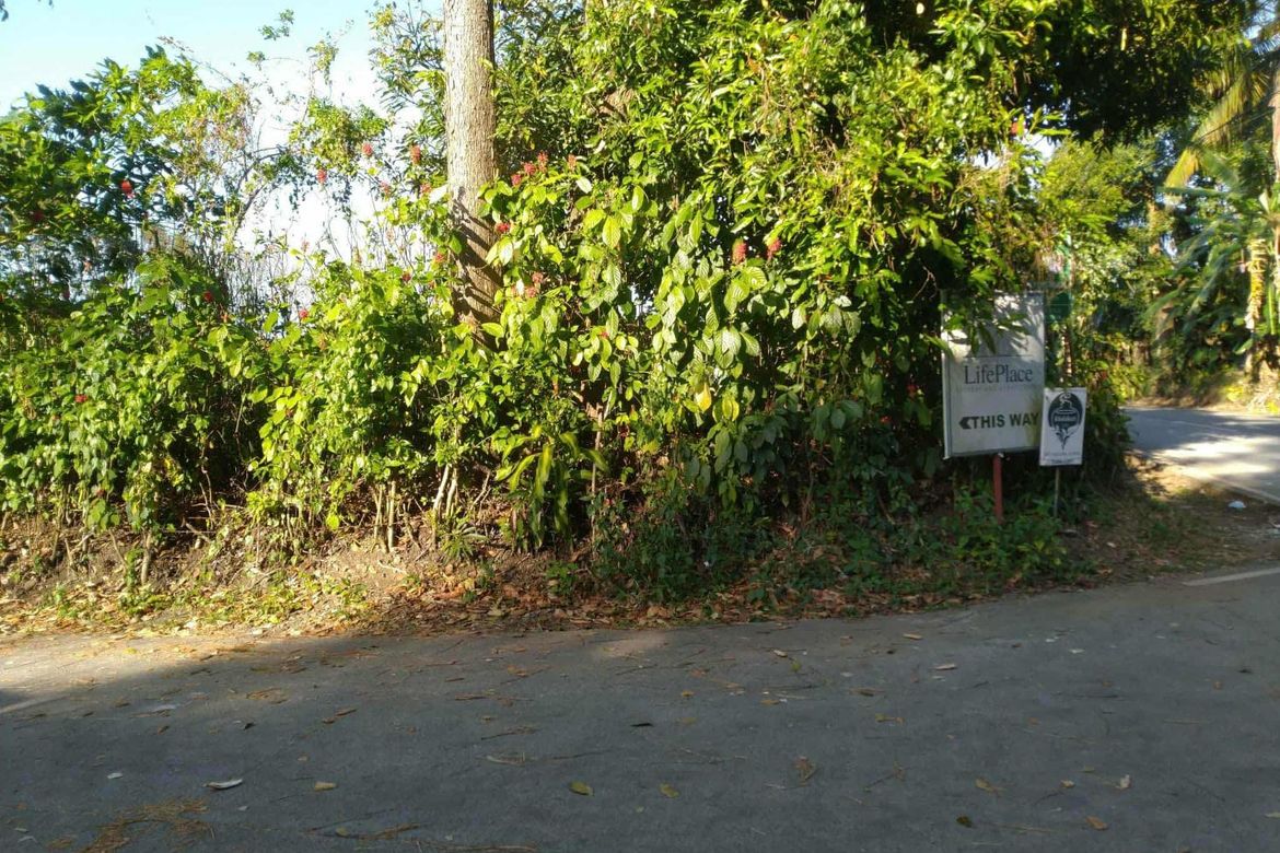 Land for Sale in Sulsugin, Alfonso, Cavite – photo 4